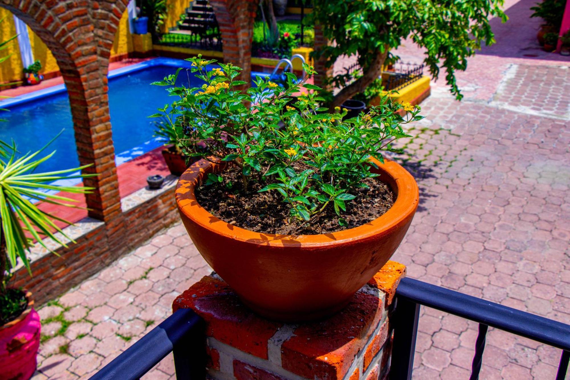 Tlaquepaque Posada Las Margaritas מראה חיצוני תמונה